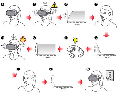 Virtual Reality as a Context for Adaptation